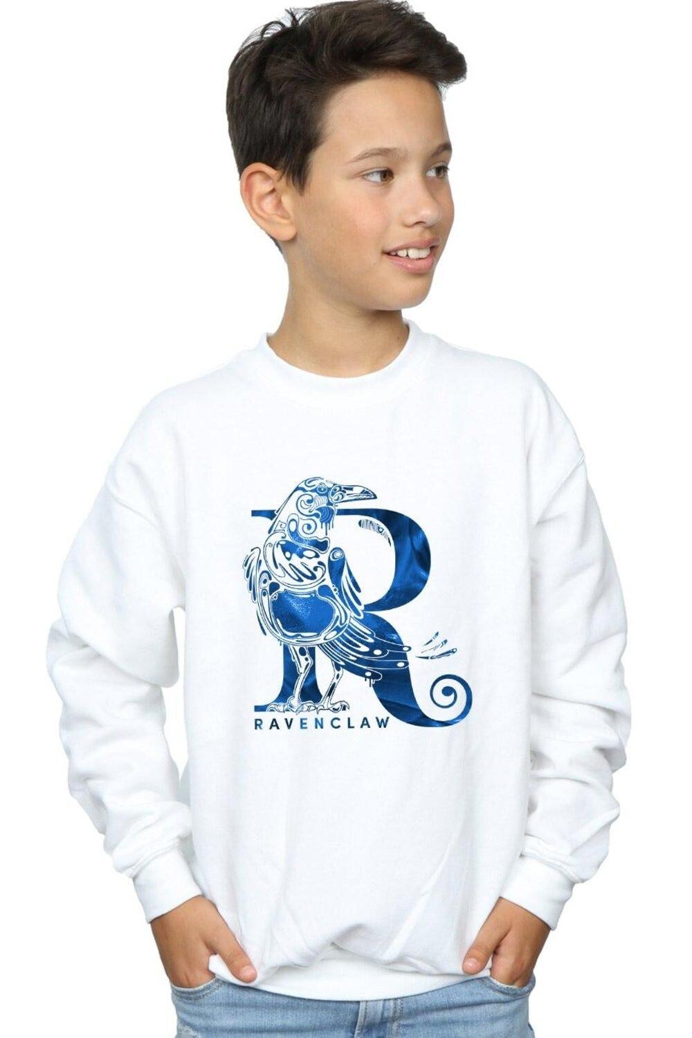 Толстовка с изображением Рейвенкло и Ворона Harry Potter, белый
Толстовка с изображением Рейвенкло и Ворона Harry Potter, белый