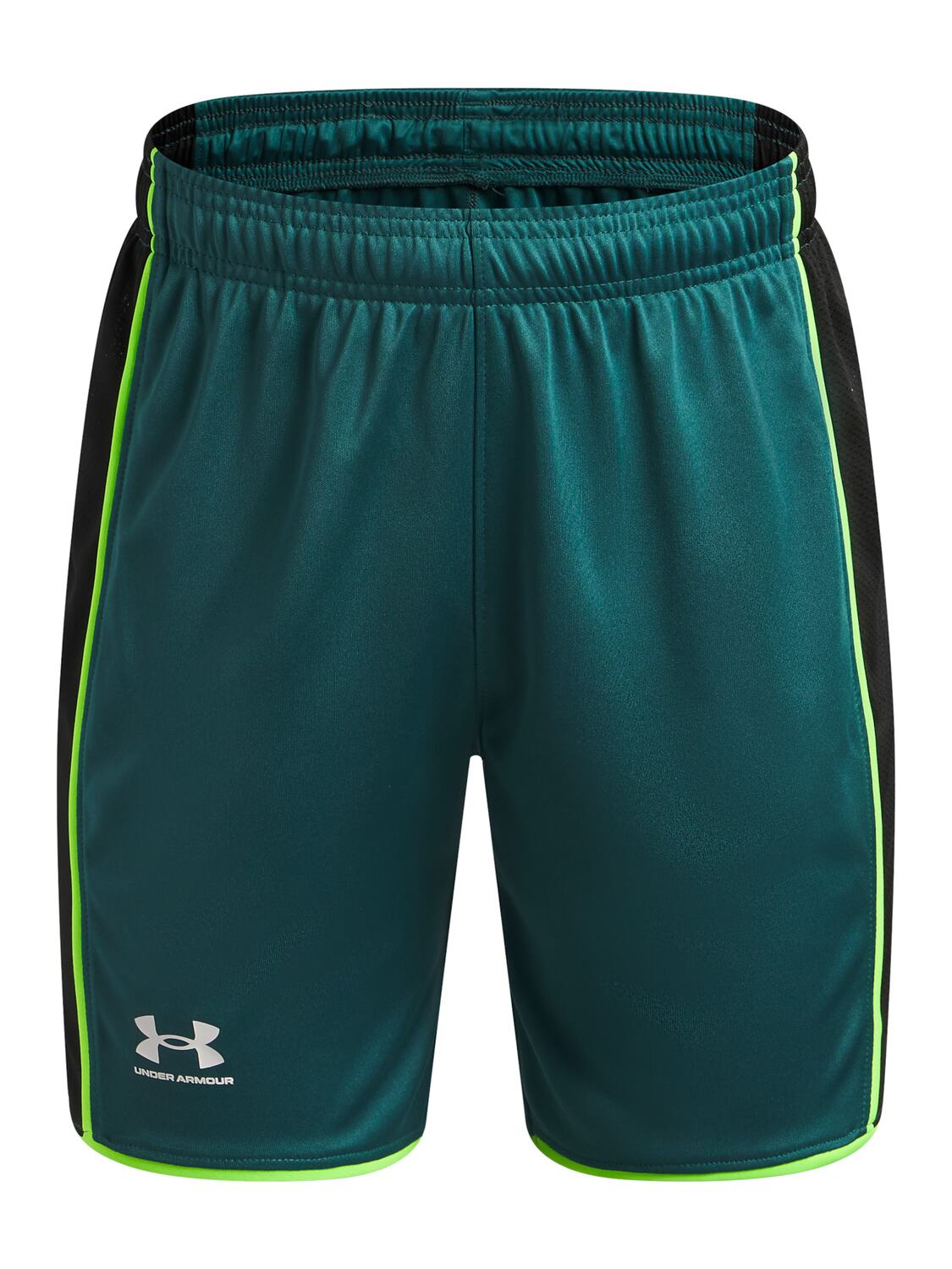 Under Armour Штаны для тренировок Regular в цвете Green, Dark Green
Under Armour Штаны для тренировок Regular в цвете Green, Dark Green