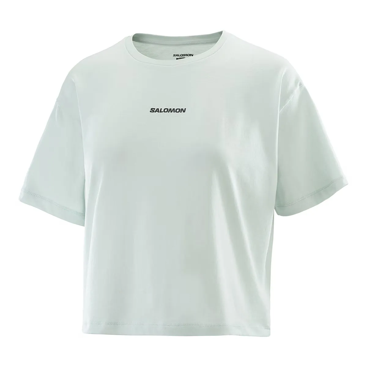 Женская футболка с логотипом Salomon Twist-1, серый
Женская футболка с логотипом Salomon Twist-1, серый