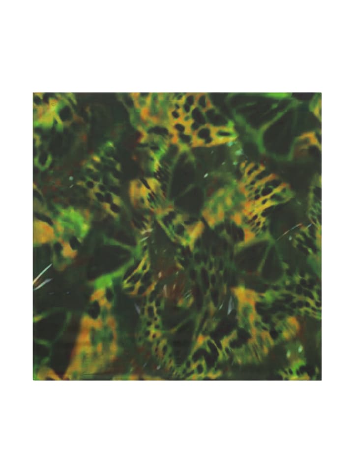 Шарф Bolongaro Trevor
Шарф Bolongaro Trevor