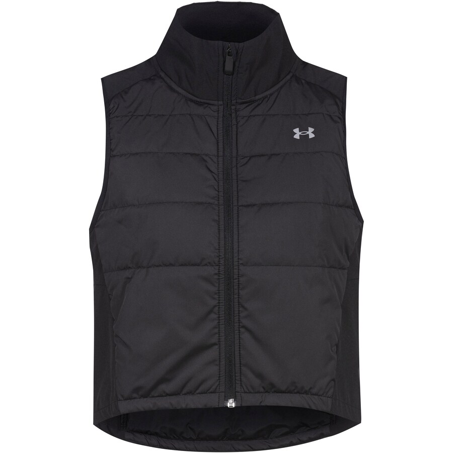 Спортивный жилет UNDER ARMOUR Storm, черный
Спортивный жилет UNDER ARMOUR Storm, черный