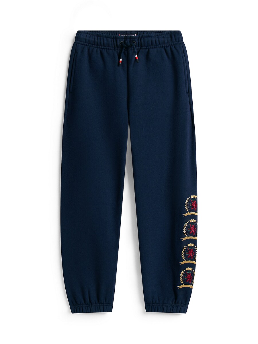 Зауженные брюки TOMMY HILFIGER, темно-синий
Зауженные брюки TOMMY HILFIGER, темно-синий