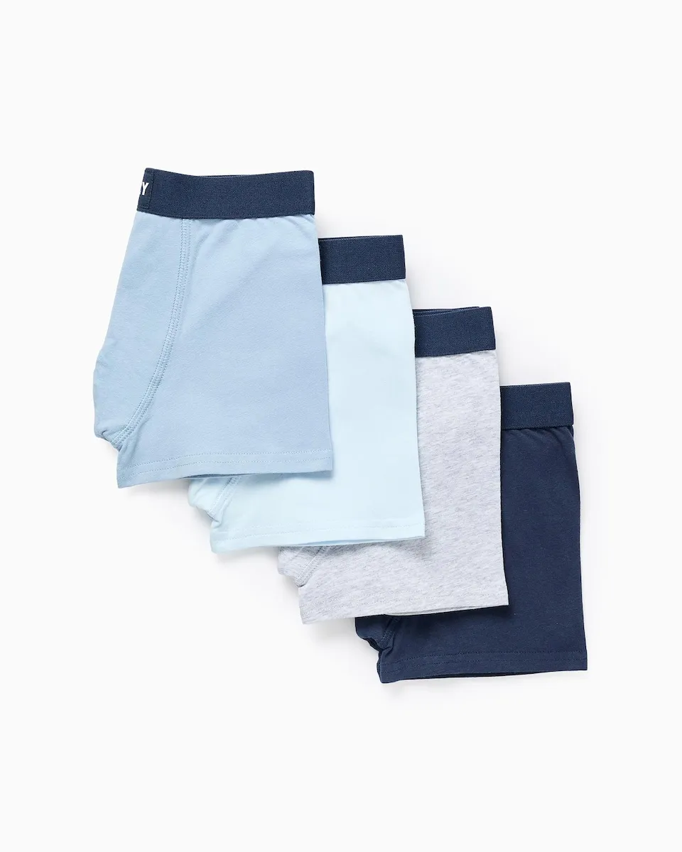 Набор из 4 однотонных эластичных детских боксеров Zippy, синий/серый
Набор из 4 однотонных эластичных детских боксеров Zippy, синий/серый