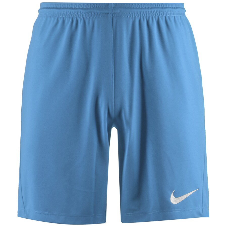 Обычные спортивные штаны NIKE Park III, Royal blue
Обычные спортивные штаны NIKE Park III, Royal blue