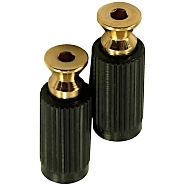 Оригинальные крепежные шпильки и анкеры Floyd Rose-Gold FRBMMSIGP 
Оригинальные крепежные шпильки и анкеры Floyd Rose-Gold FRBMMSIGP