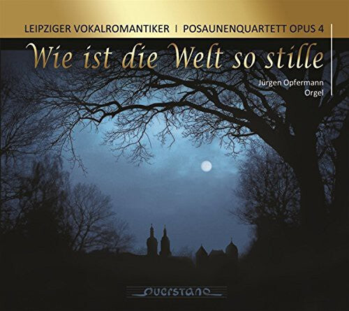 CD диск Leipziger Vokalromantiker: Wie Ist Die Welt So Stille 
CD диск Leipziger Vokalromantiker: Wie Ist Die Welt So Stille