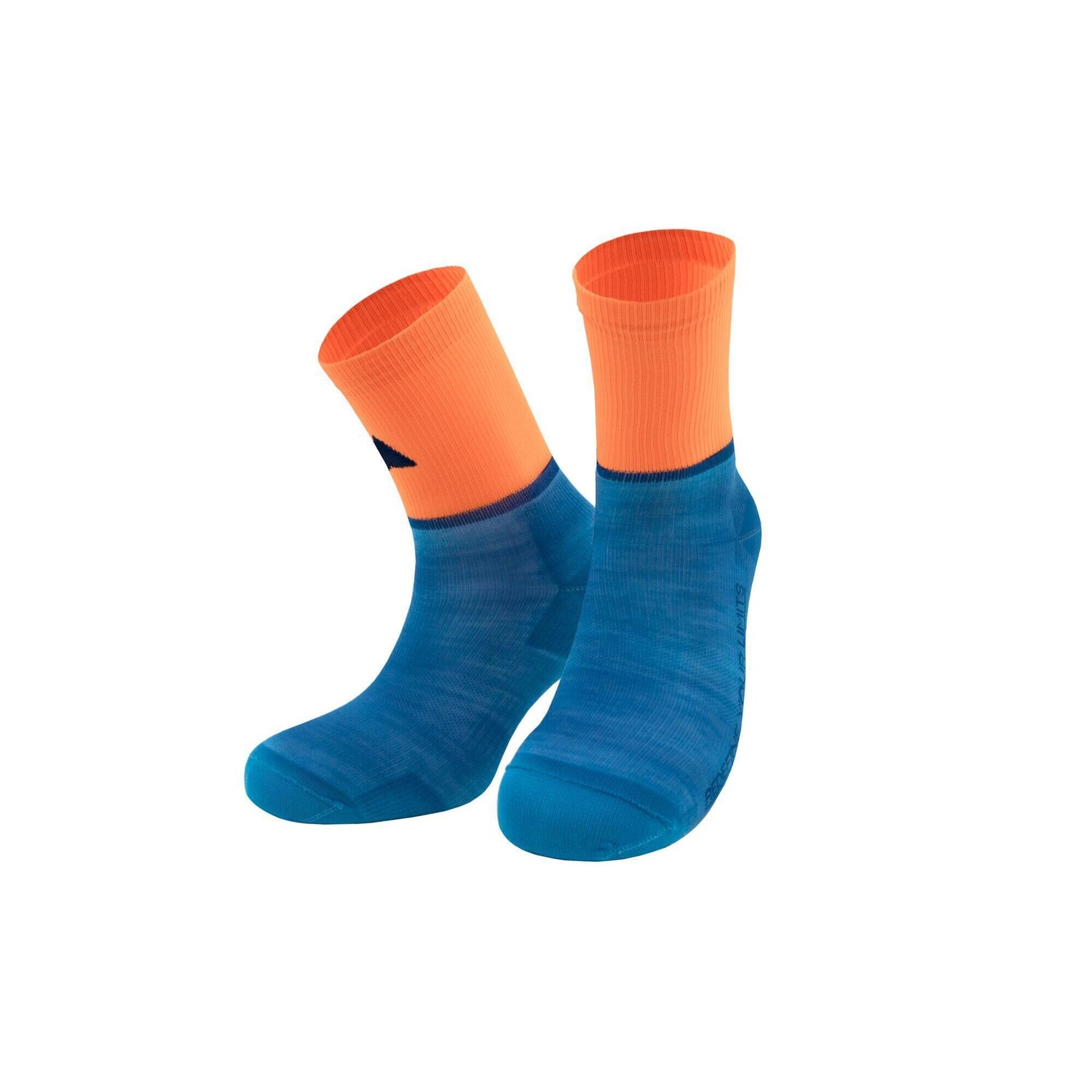 Гоночные носки PIPPO Amsterdam Merino, неоновый кораллово-оранжевый
Гоночные носки PIPPO Amsterdam Merino, неоновый кораллово-оранжевый