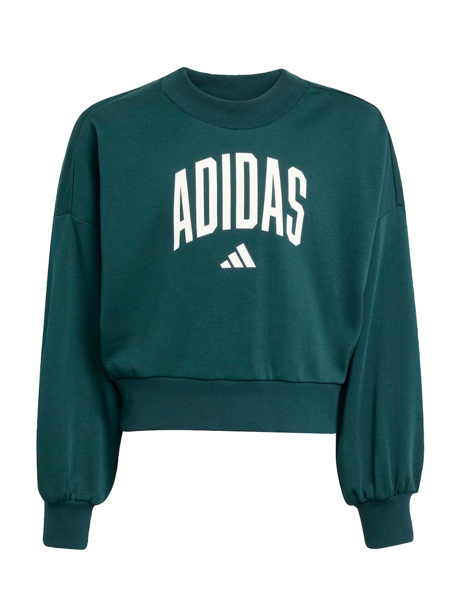Спортивная толстовка ADIDAS SPORTSWEAR, изумрудный
Спортивная толстовка ADIDAS SPORTSWEAR, изумрудный