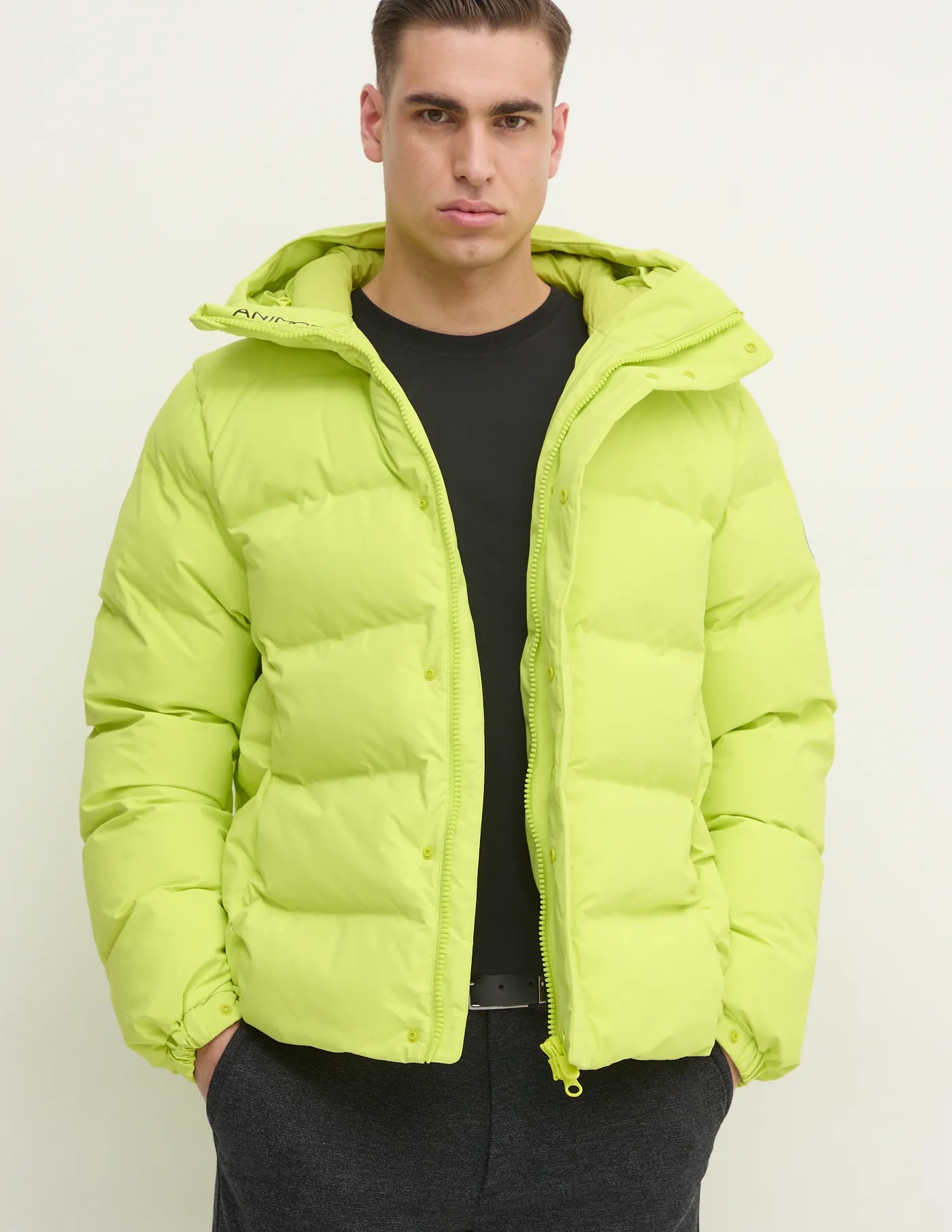 ЛЕЛАНД куртка Save The Duck, зеленый
ЛЕЛАНД куртка Save The Duck, зеленый