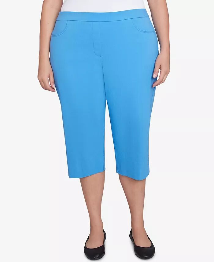 Классические брюки-клеш Allure Clamdigger размера плюс с плоским передом Alfred Dunner, синий
Классические брюки-клеш Allure Clamdigger размера плюс с плоским передом Alfred Dunner, синий