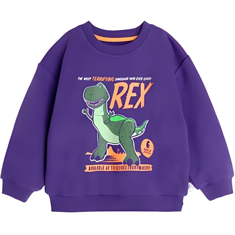 Disney Толстовка Toy Story темно-фиолетовая для детей 3-7 лет
Disney Толстовка Toy Story темно-фиолетовая для детей 3-7 лет