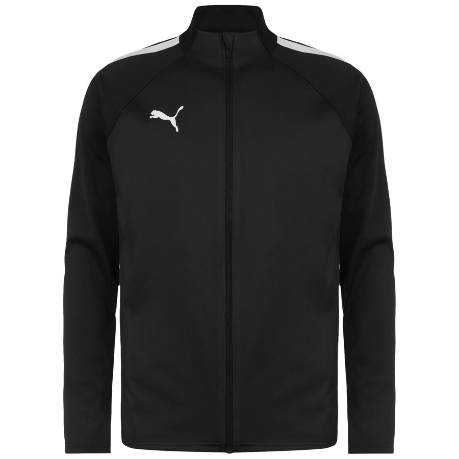 Куртка для активного отдыха PUMA Team Liga, черный
Куртка для активного отдыха PUMA Team Liga, черный