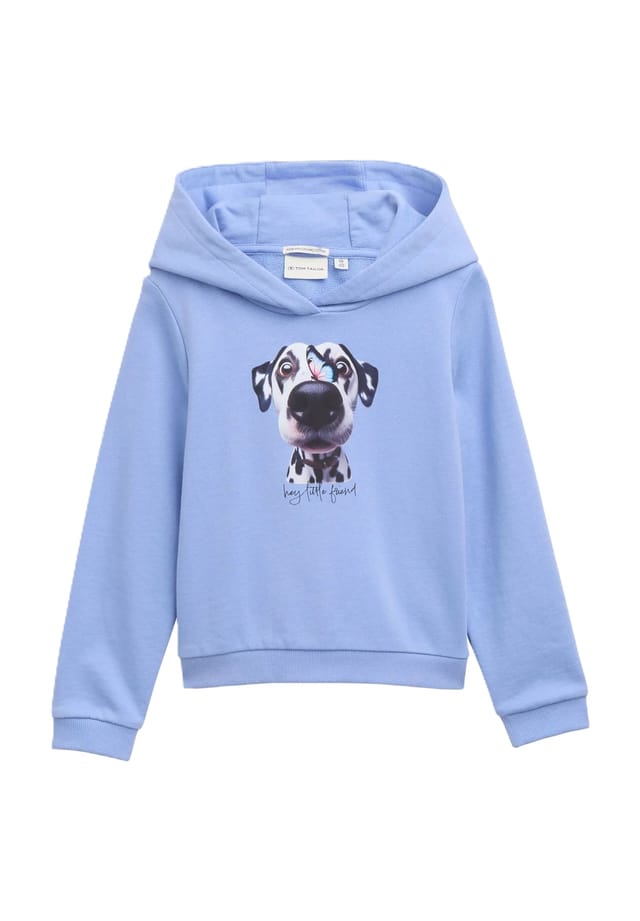 Детская толстовка с капюшоном из хлопка Tom Tailor, синий
Детская толстовка с капюшоном из хлопка Tom Tailor, синий