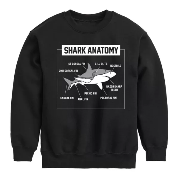 Флисовая толстовка с изображением анатомии акулы для мальчиков 8-20 лет Licensed Character, черный
Флисовая толстовка с изображением анатомии акулы для мальчиков 8-20 лет Licensed Character, черный