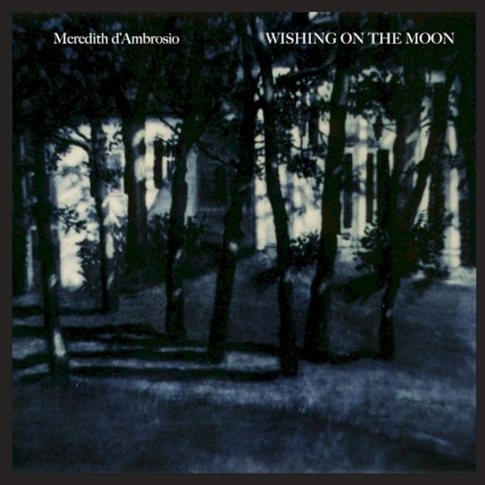 Диск CD Wishing On The Moon - Meredith d'Ambrosio
Диск CD Wishing On The Moon - Meredith d'Ambrosio