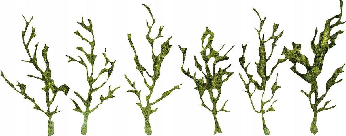 Зеленые лозы, 20 шт., Faller 171839
Зеленые лозы, 20 шт., Faller 171839