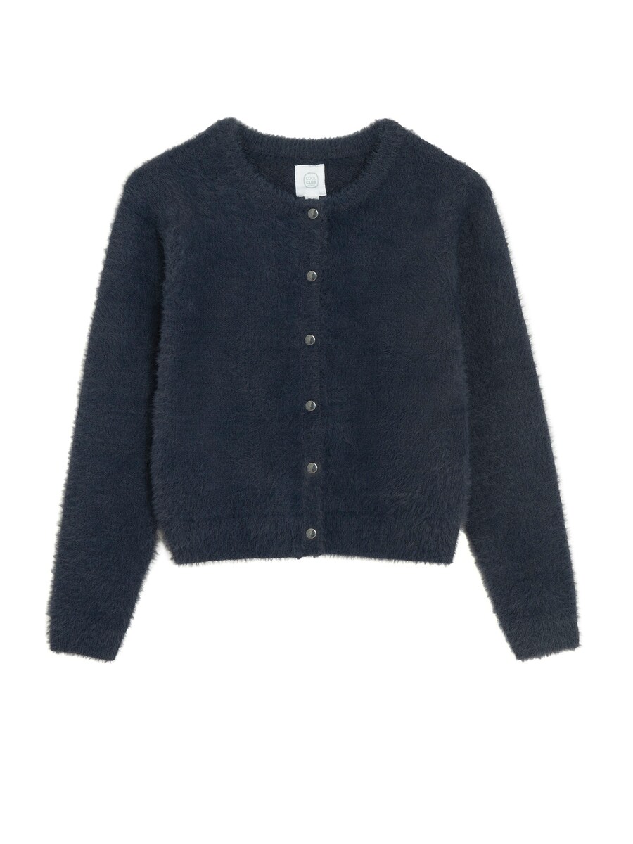 Толстовка с капюшоном на молнии Cool Club, темно-синий
Толстовка с капюшоном на молнии Cool Club, темно-синий