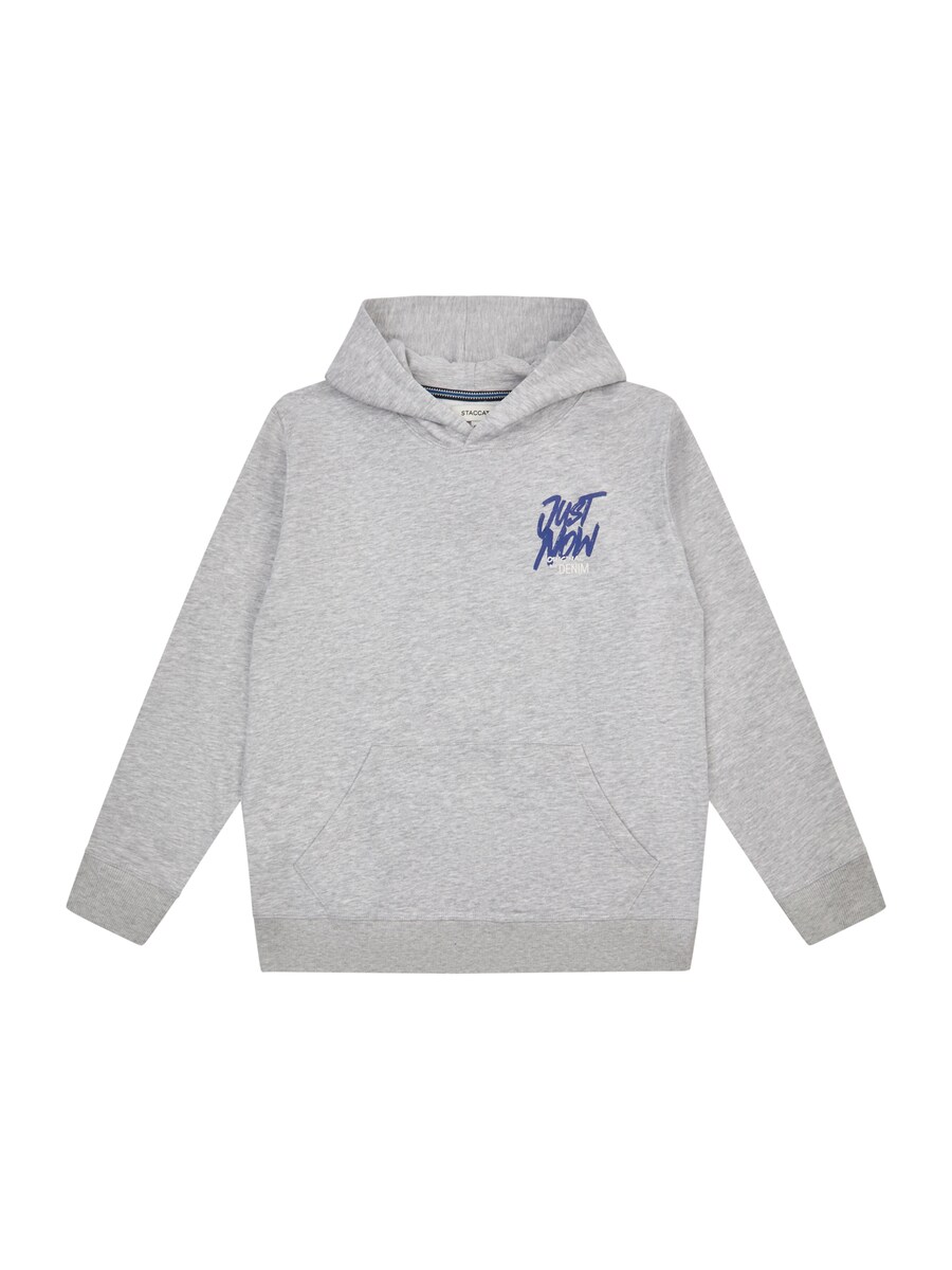 Толстовка STACCATO, светло-серый
Толстовка STACCATO, светло-серый
