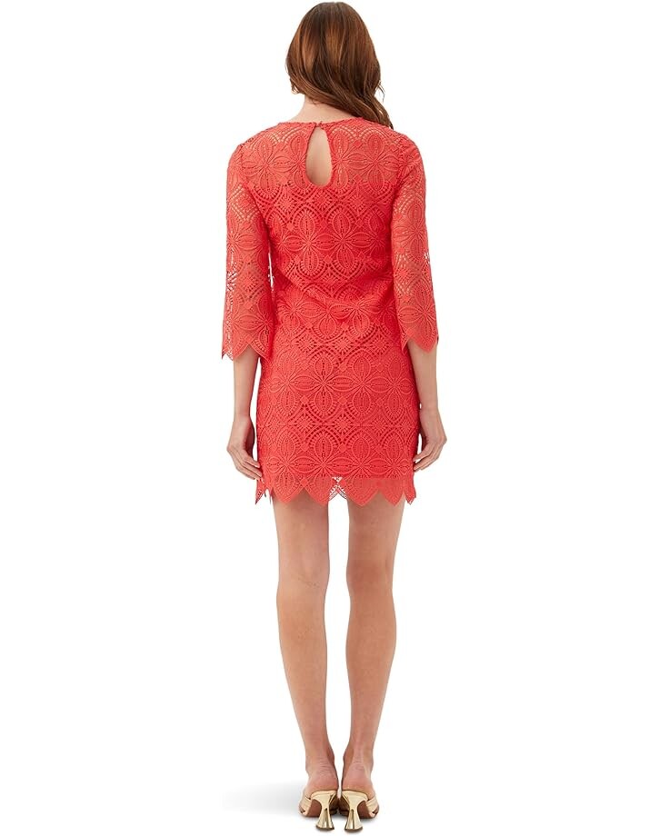 Платье Trina Turk Atlantic Dress, цвет Moroccan Sunset
Платье Trina Turk Atlantic Dress, цвет Moroccan Sunset