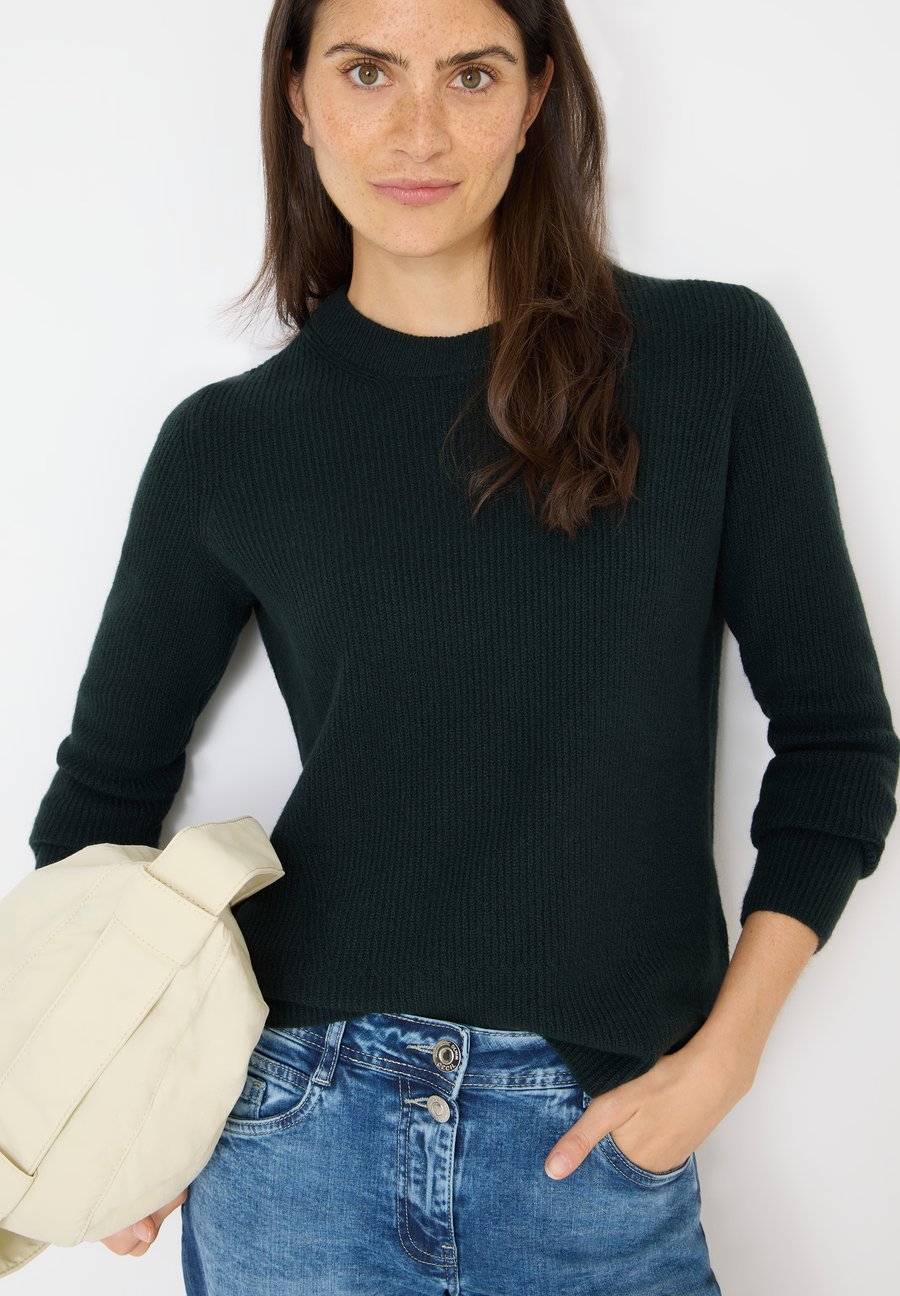 Джемпер Cecil Jumper, Grün/Dark Green
Джемпер Cecil Jumper, Grün/Dark Green