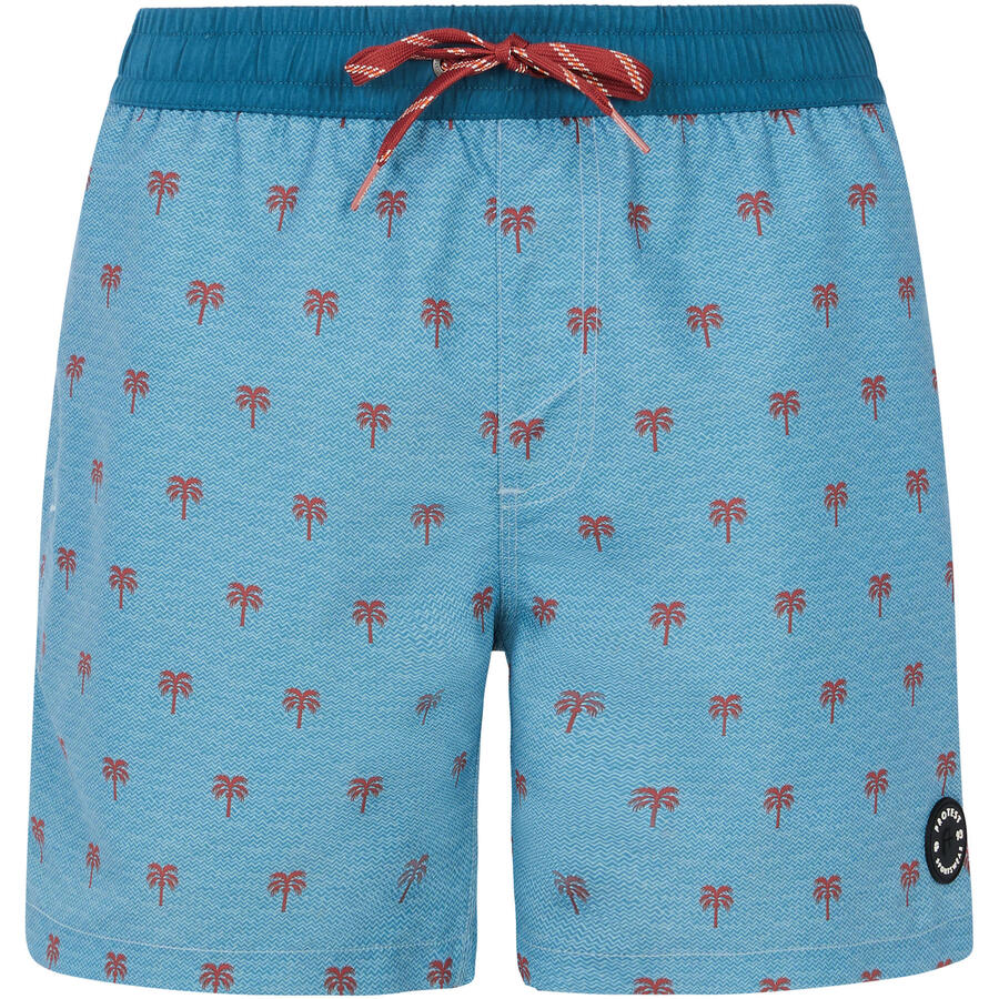 PROTEST Протестные шорты для плавания Parco
PROTEST Протестные шорты для плавания Parco