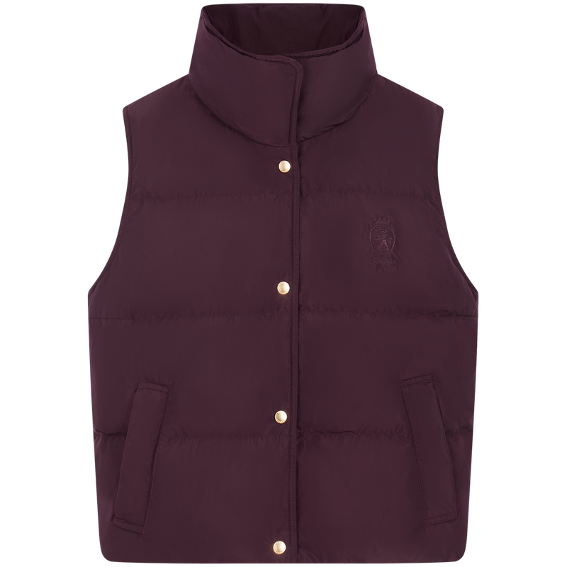 Tommy Hilfiger Женская пуховая жилетка, Burgundy XIH
Tommy Hilfiger Женская пуховая жилетка, Burgundy XIH