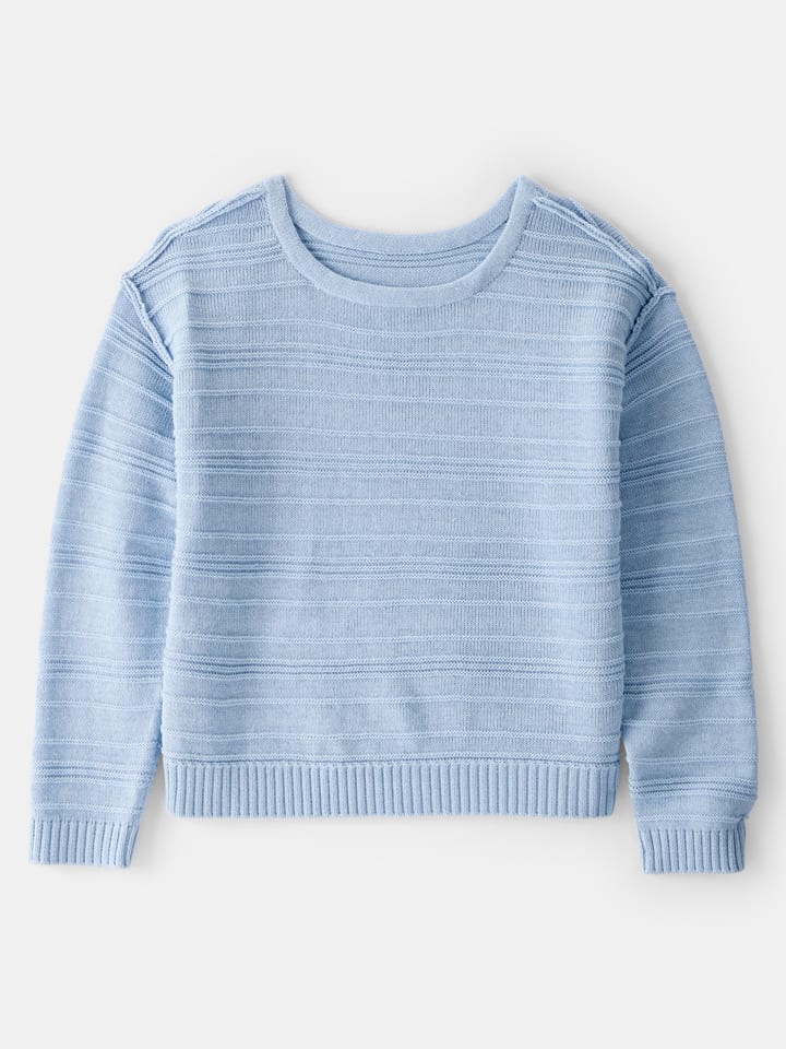 Светло-голубой свитер OshKosh
Светло-голубой свитер OshKosh