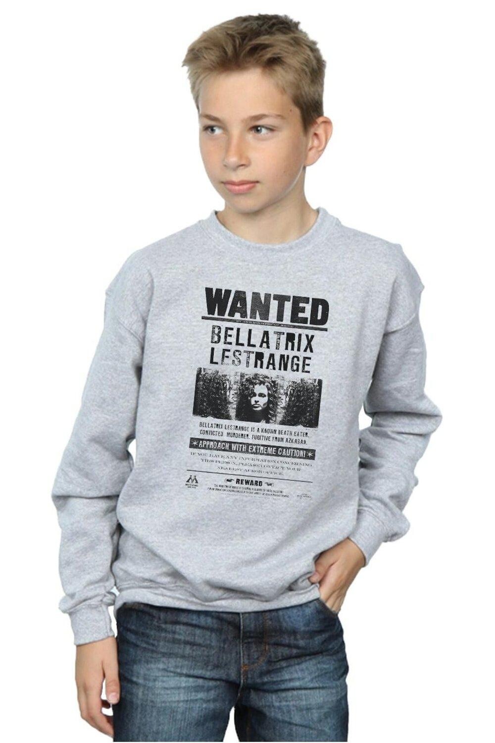 Толстовка «Беллатрикс Лестрейндж Разыскивается» Harry Potter, серый