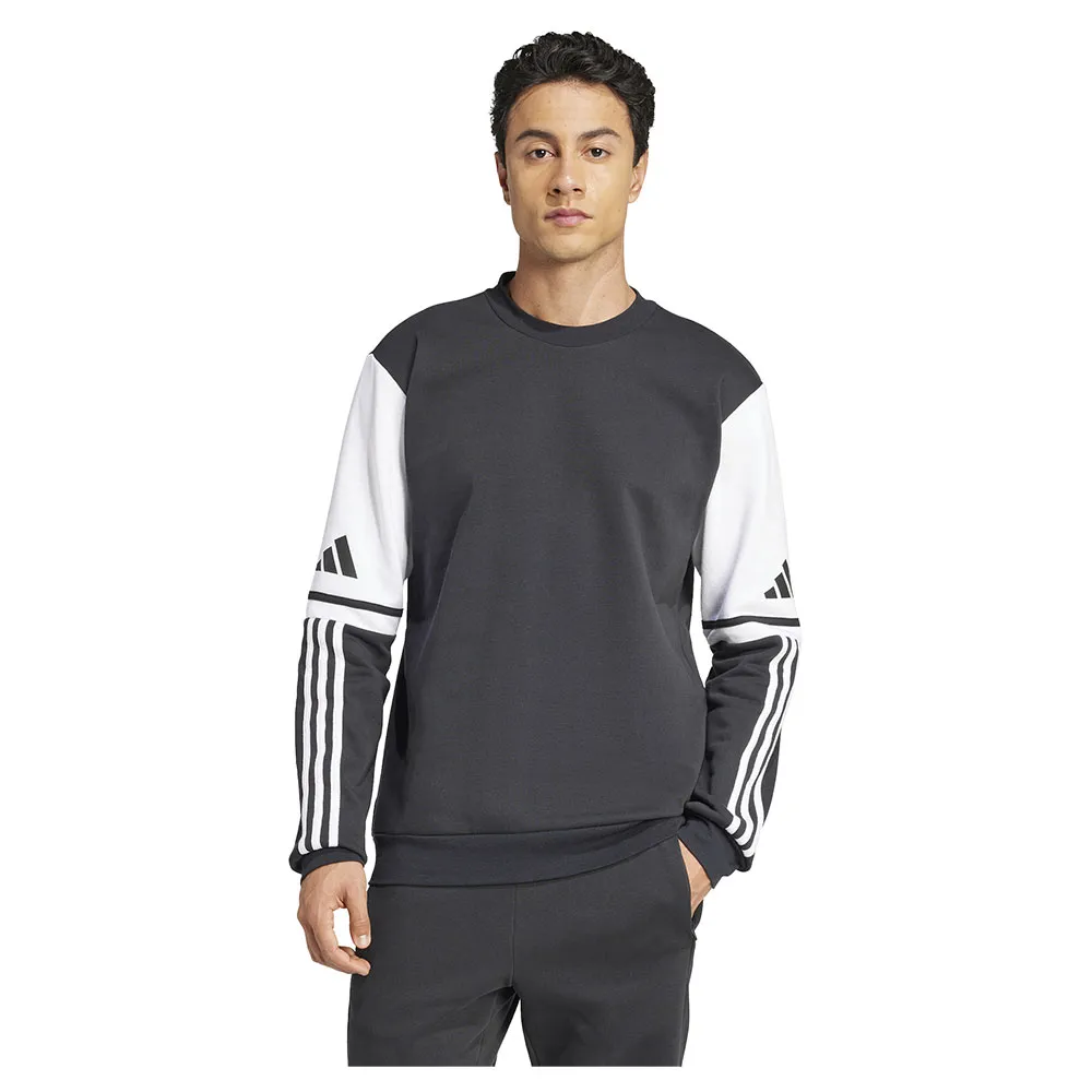 Толстовка adidas Squadra 25 Crewneck, черный
Толстовка adidas Squadra 25 Crewneck, черный