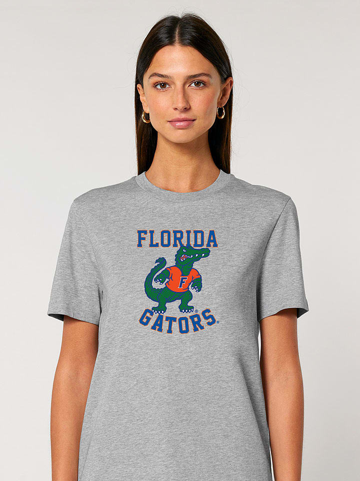 Футболка American Universities, серый
Футболка American Universities, серый