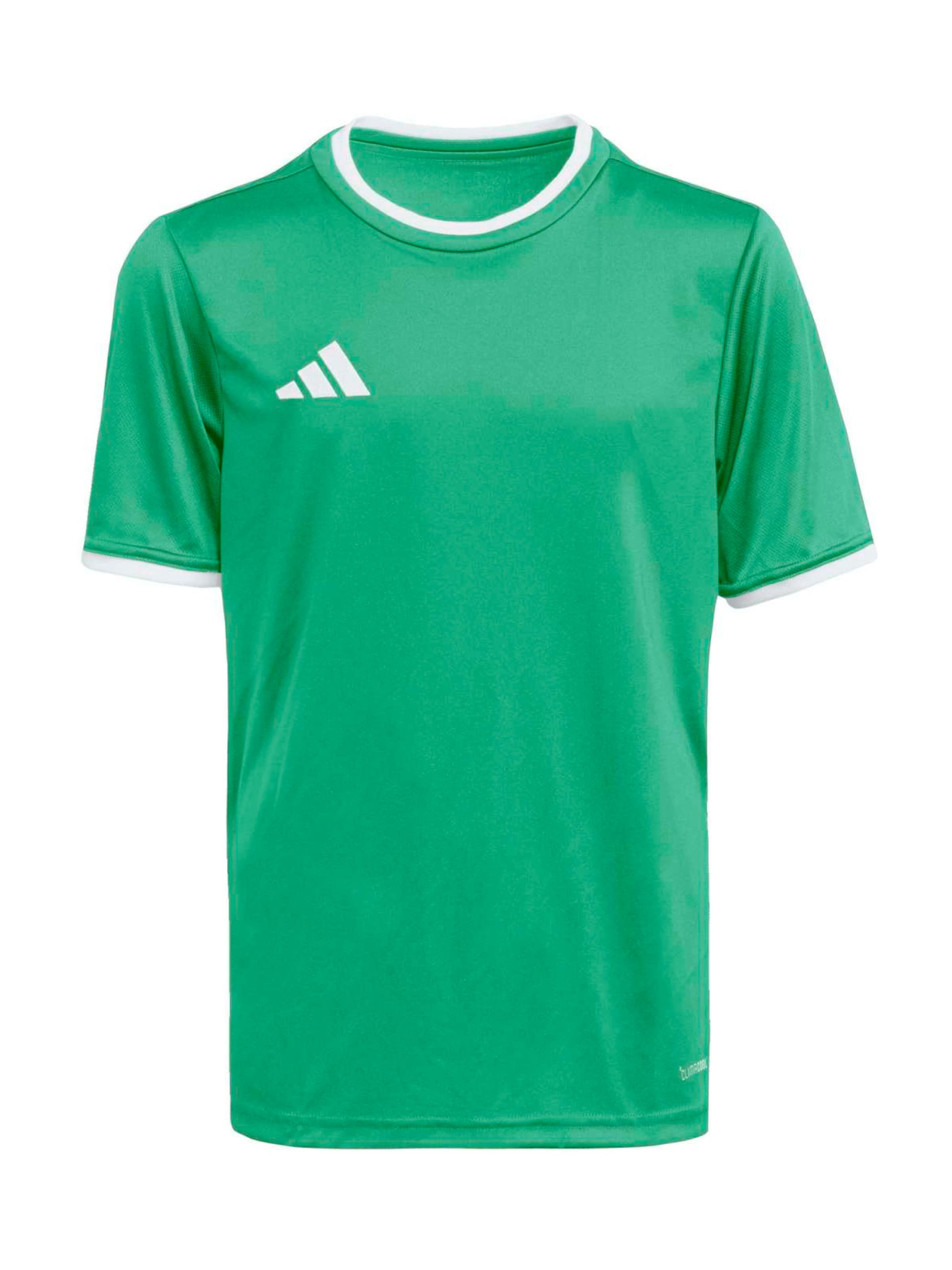 Adidas Performance Футболка для спорта 'ENT26' в зеленом цвете
Adidas Performance Футболка для спорта 'ENT26' в зеленом цвете