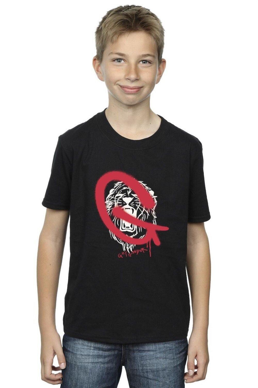 Футболка «Гриффиндорская поп-музыка» Harry Potter, черный
Футболка «Гриффиндорская поп-музыка» Harry Potter, черный