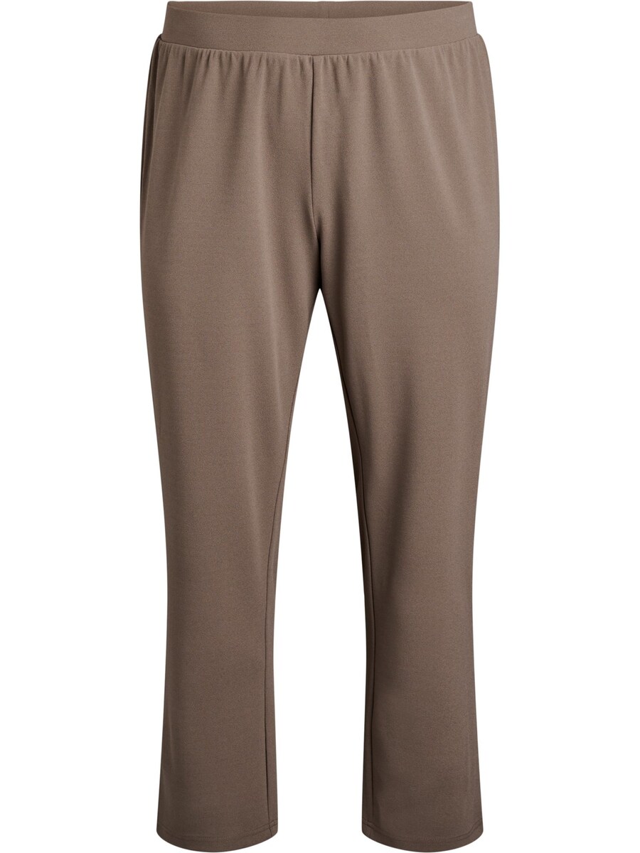 Обычные брюки Flash by Zizzi FLELLA, темно-бежевый
Обычные брюки Flash by Zizzi FLELLA, темно-бежевый