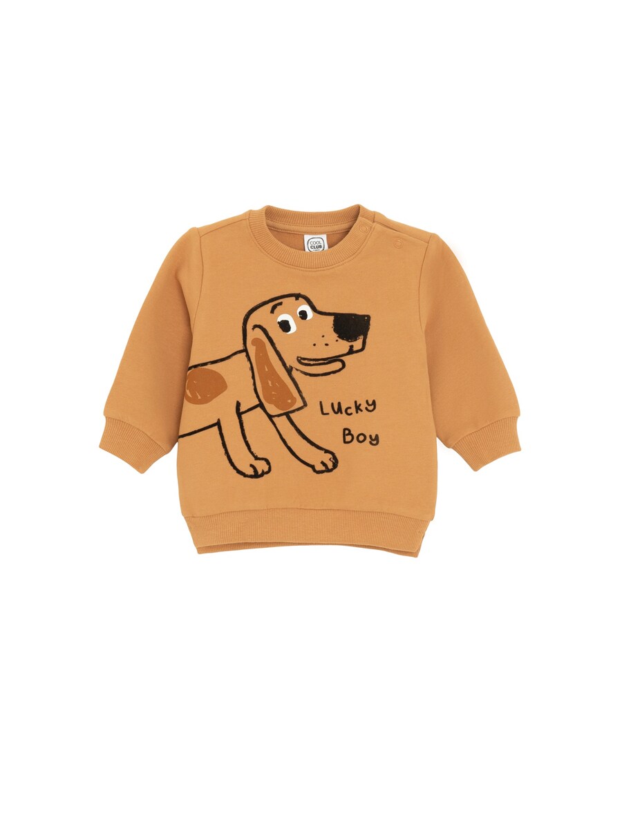 Толстовка Cool Club, коричневый
Толстовка Cool Club, коричневый