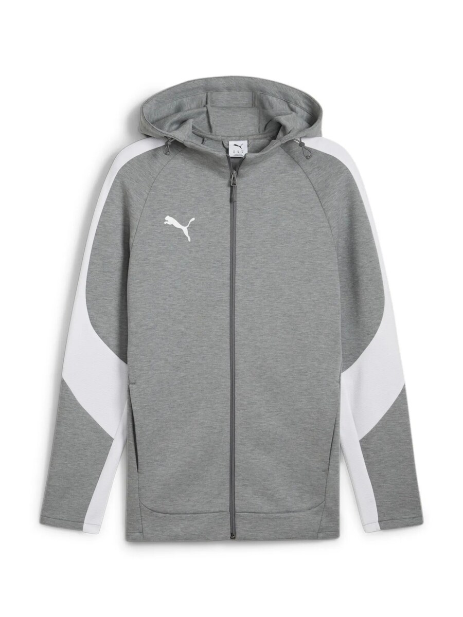 Спортивная толстовка с капюшоном на молнии PUMA, серый
Спортивная толстовка с капюшоном на молнии PUMA, серый