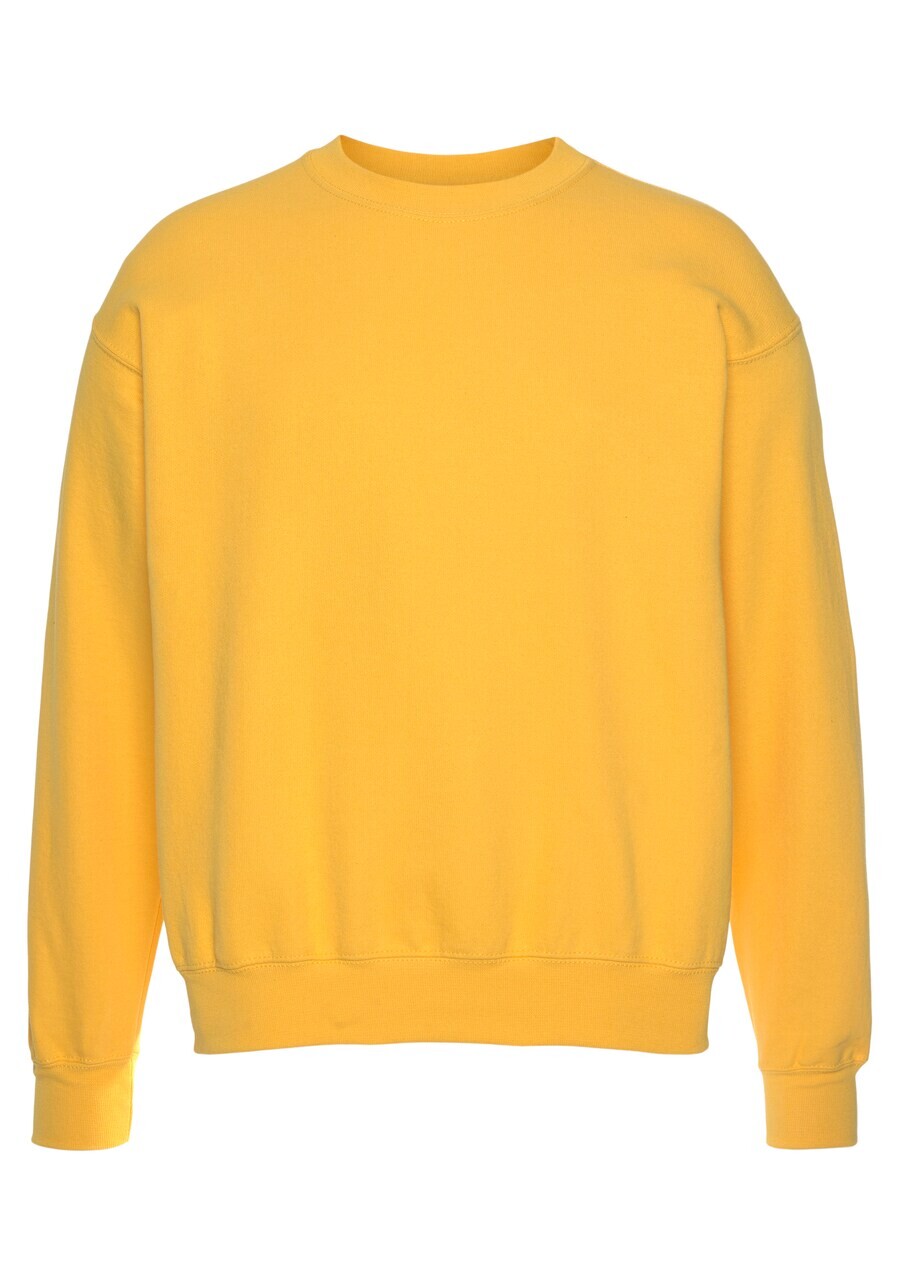 Толстовка Fruit Of The Loom, желтый
Толстовка Fruit Of The Loom, желтый