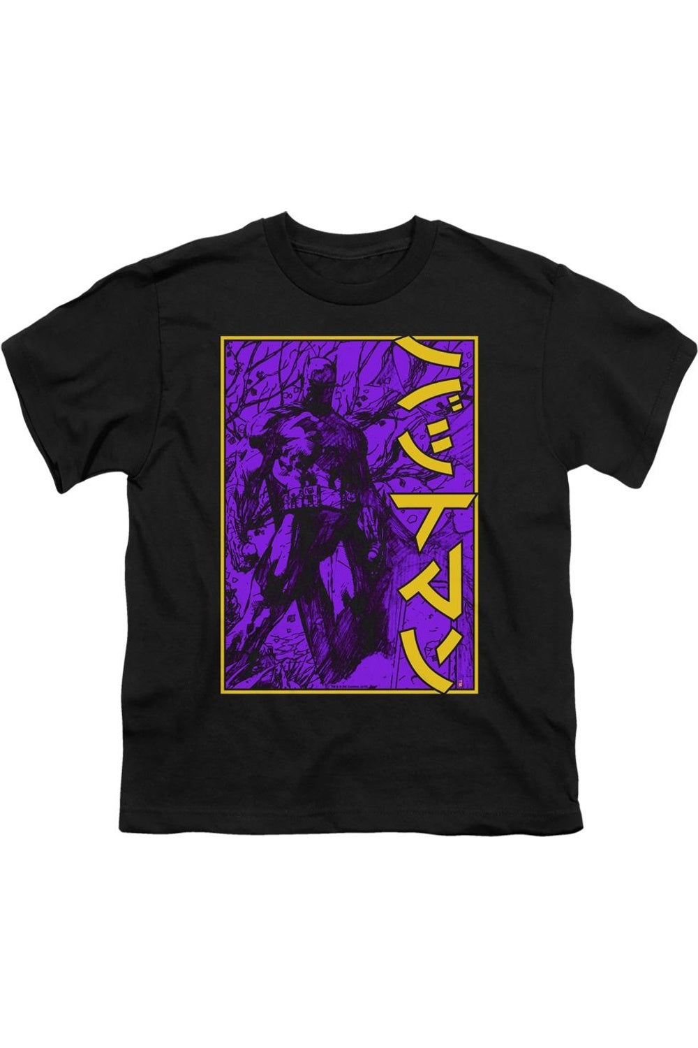 Футболка с коротким рукавом для детей Batman с крупными иероглифами в рамке Gildan, черный
Футболка с коротким рукавом для детей Batman с крупными иероглифами в рамке Gildan, черный