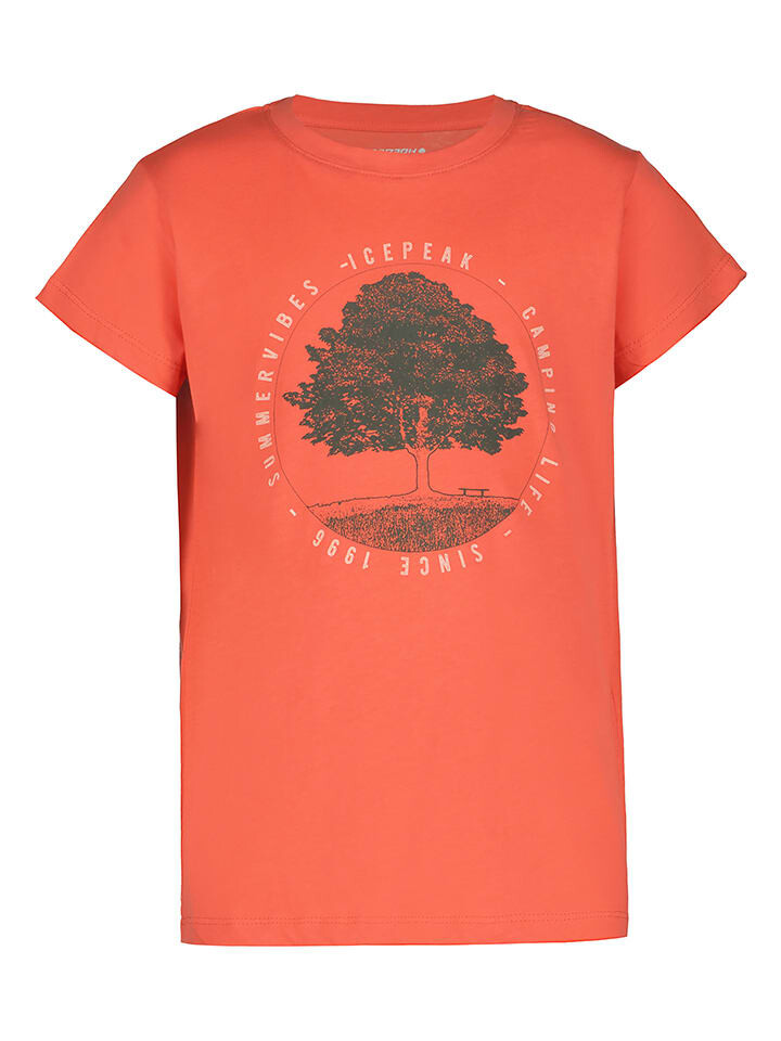 Футболка Icepeak, красный
Футболка Icepeak, красный