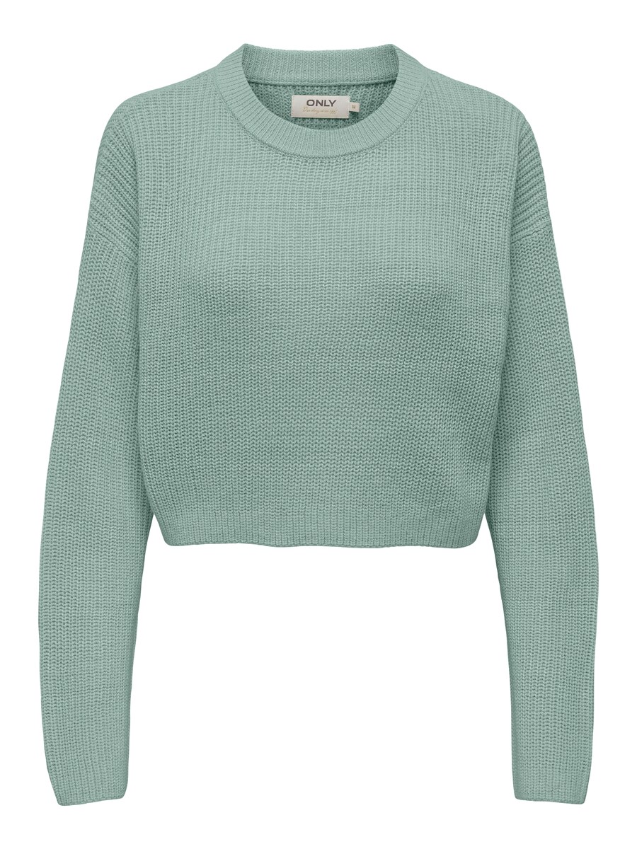 Свитер ONLY ONLMALAVI, пастельный зеленый
Свитер ONLY ONLMALAVI, пастельный зеленый
