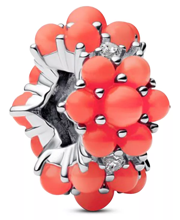 Коралловые океанские подвески Pandora, red
Коралловые океанские подвески Pandora, red