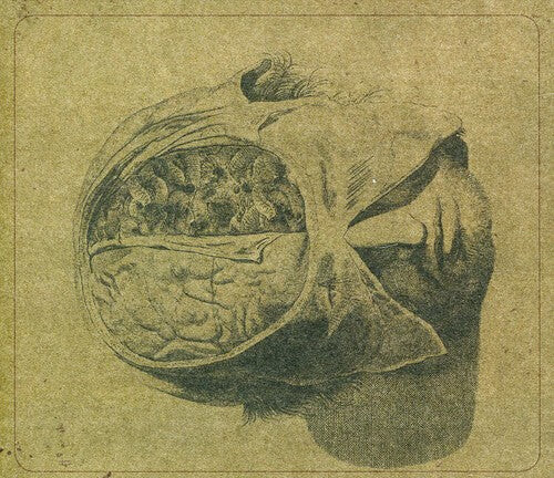 CD диск Farsot: Insects
CD диск Farsot: Insects