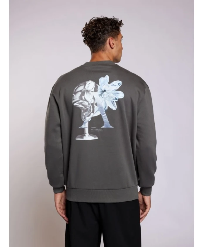 Толстовка Бастьен Aeden, серый
Толстовка Бастьен Aeden, серый