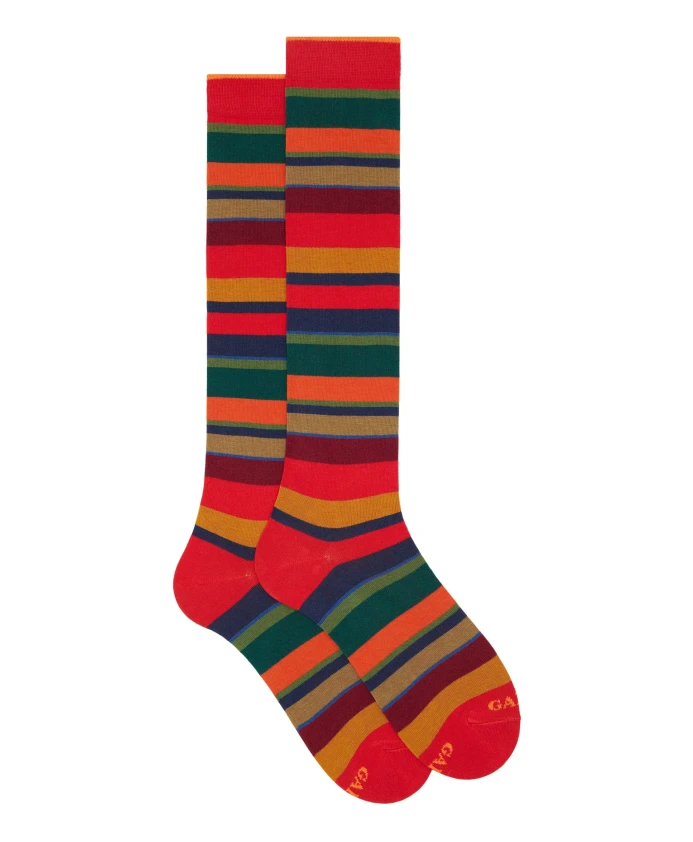Мужские длинные хлопковые носки, в красную полоску, разноцветные Gallo, мультиколор
Мужские длинные хлопковые носки, в красную полоску, разноцветные Gallo, мультиколор
