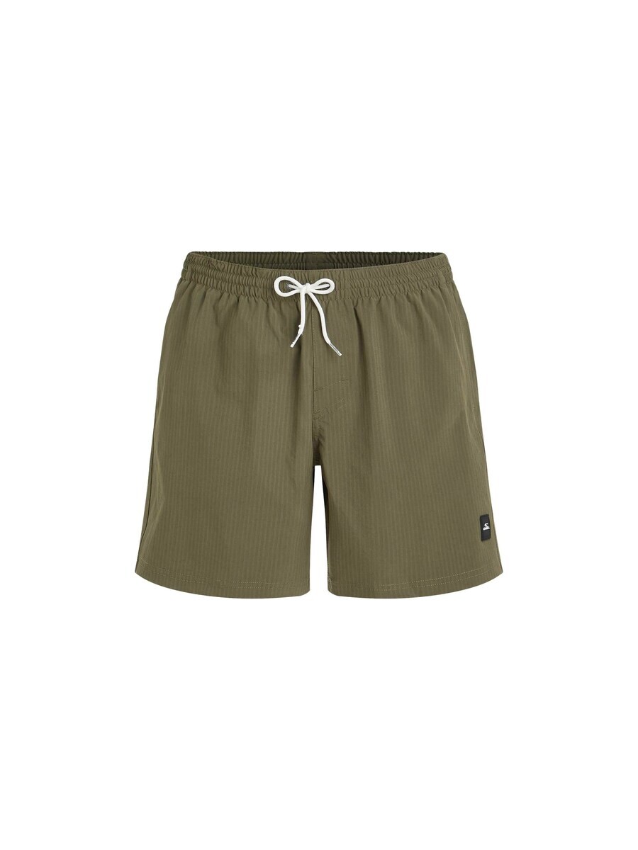 Плавки ONEILL Swim Trunks, зеленый
Плавки ONEILL Swim Trunks, зеленый