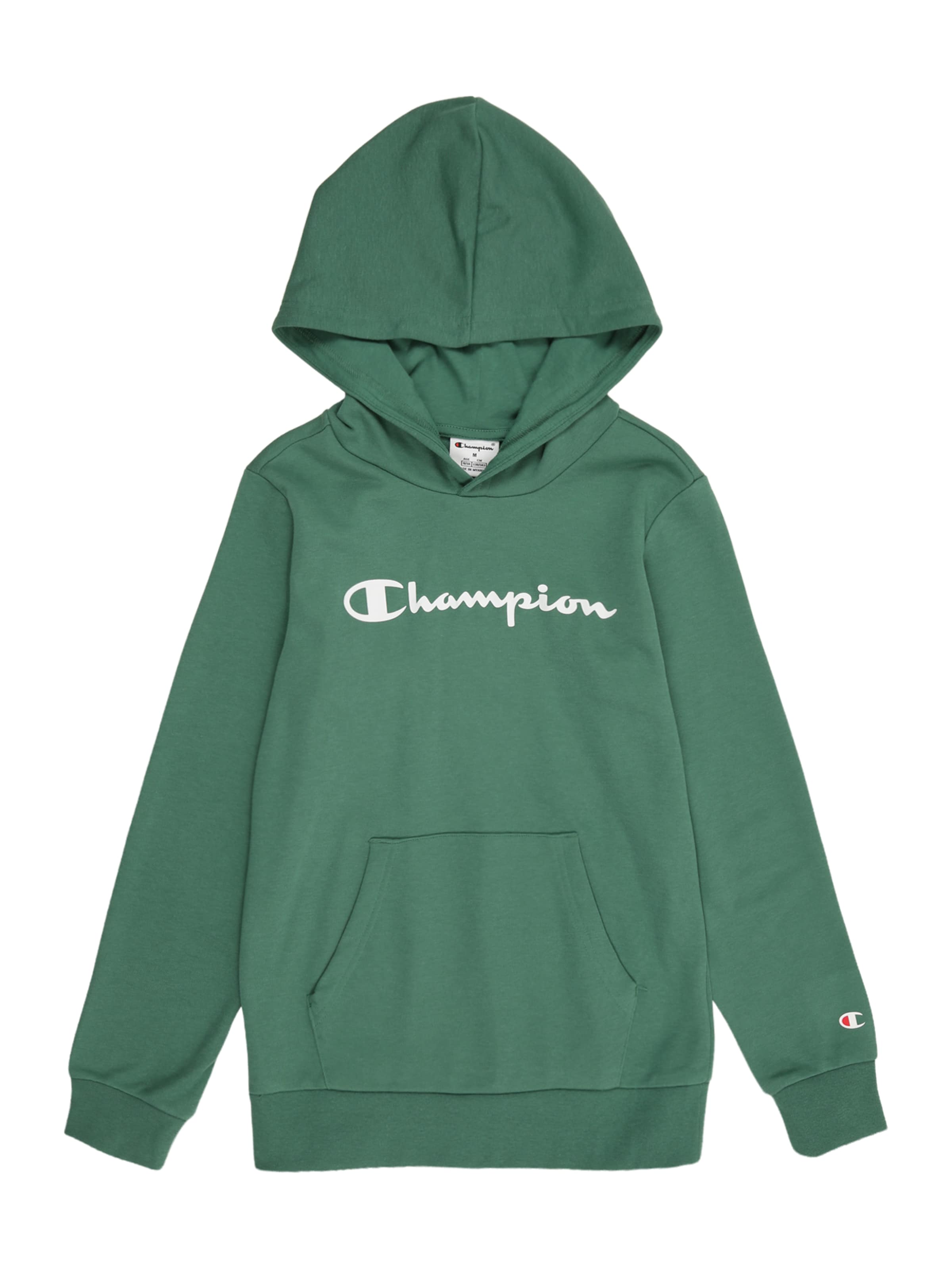 Champion Authentic Athletic Apparel Толстовка в зеленом цвете
Champion Authentic Athletic Apparel Толстовка в зеленом цвете
