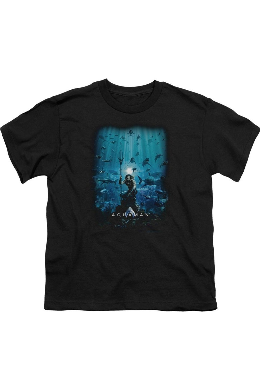 Футболка с коротким рукавом для детей с постером фильма "Аквамен" Gildan, черный
Футболка с коротким рукавом для детей с постером фильма "Аквамен" Gildan, черный