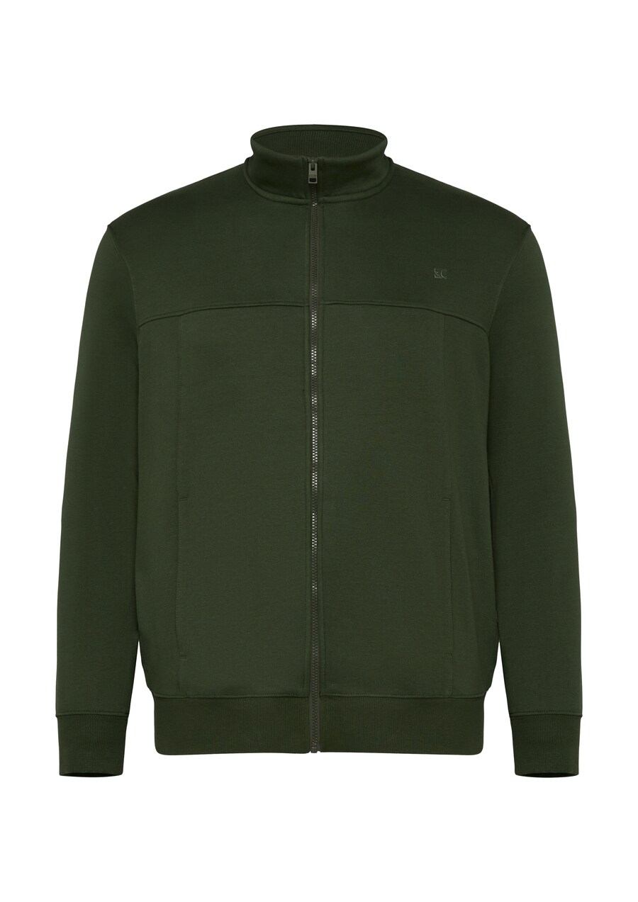 Толстовка с капюшоном на молнии s.Oliver, зеленый
Толстовка с капюшоном на молнии s.Oliver, зеленый