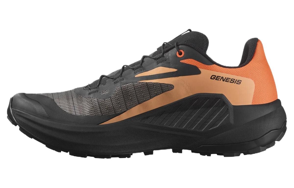 Генезис «Огонь Дракона» Salomon
Генезис «Огонь Дракона» Salomon