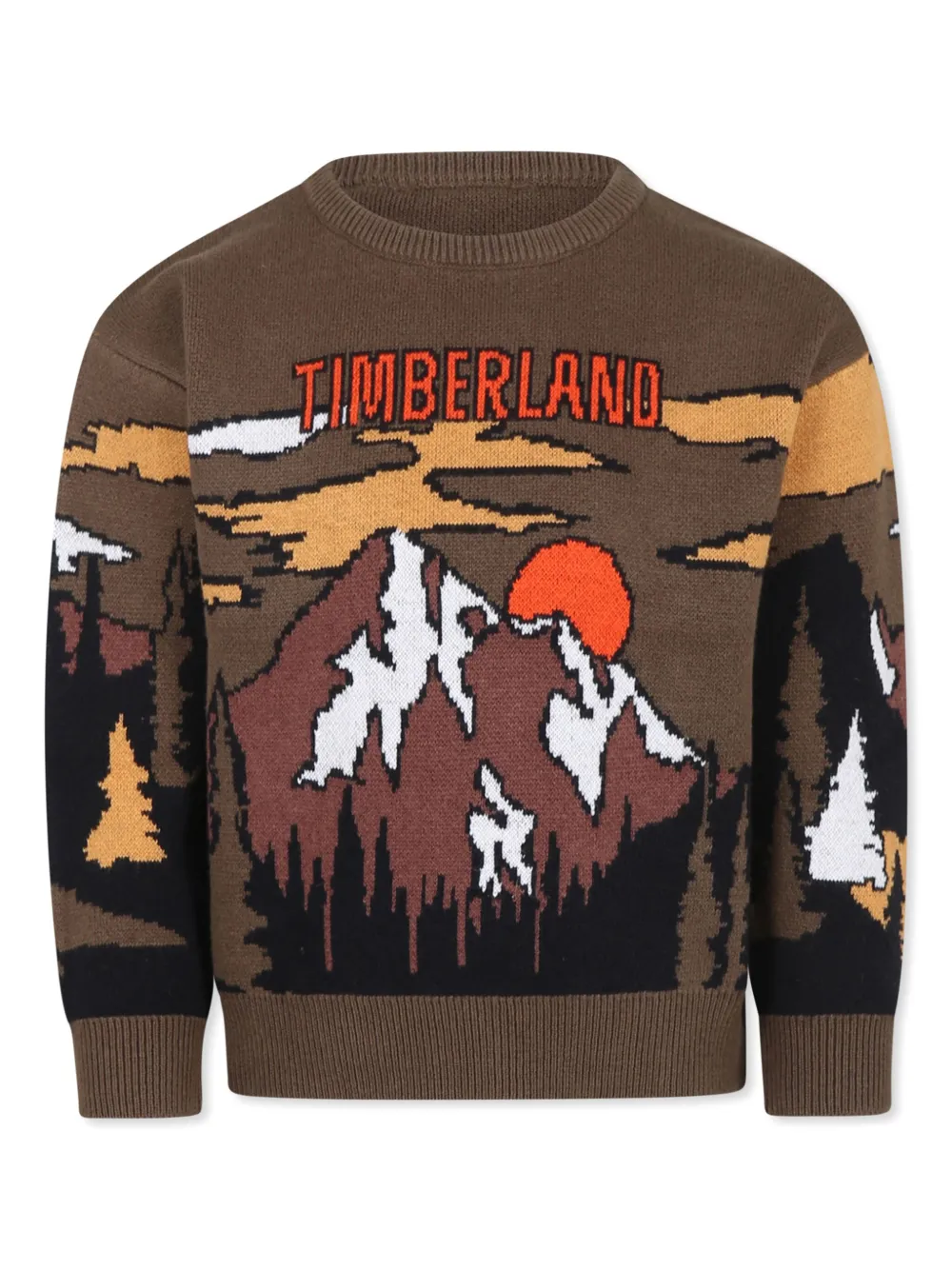 Джемпер с графичным принтом Timberland Kids, зеленый
Джемпер с графичным принтом Timberland Kids, зеленый