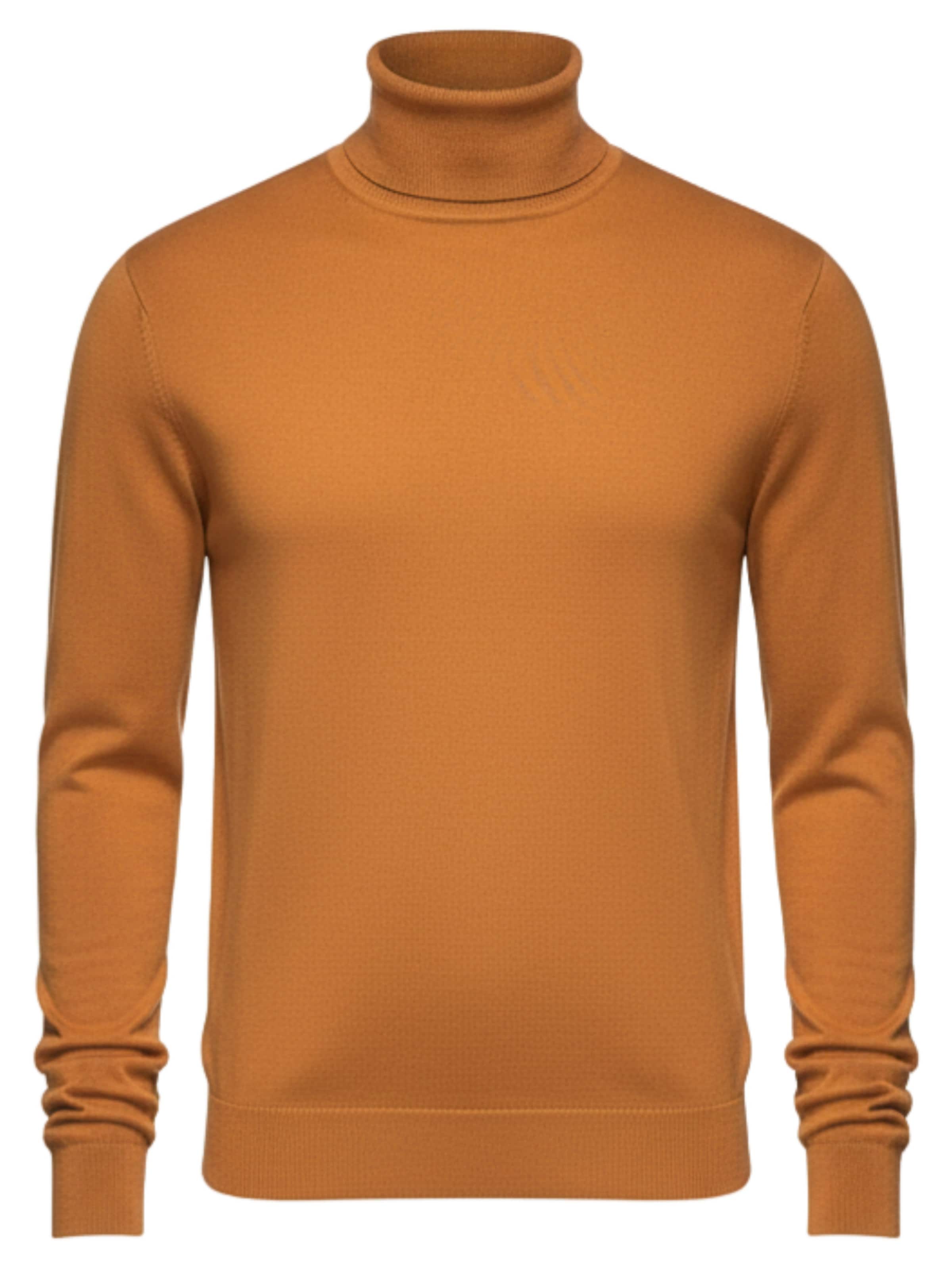 Ombre Свитер 'OM-SWTN-0101' в цвете Camel
Ombre Свитер 'OM-SWTN-0101' в цвете Camel